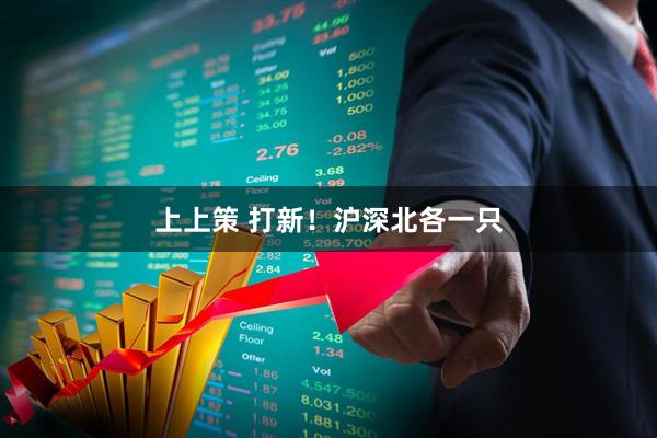 上上策 打新！沪深北各一只