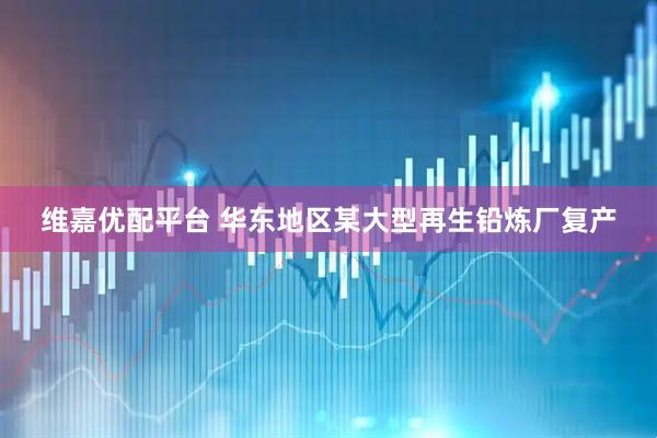 维嘉优配平台 华东地区某大型再生铅炼厂复产