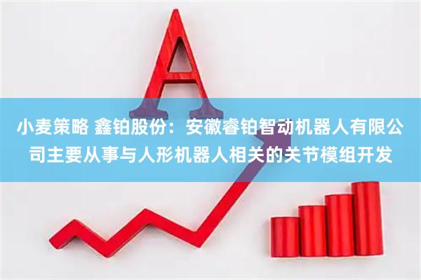 小麦策略 鑫铂股份：安徽睿铂智动机器人有限公司主要从事与人形机器人相关的关节模组开发
